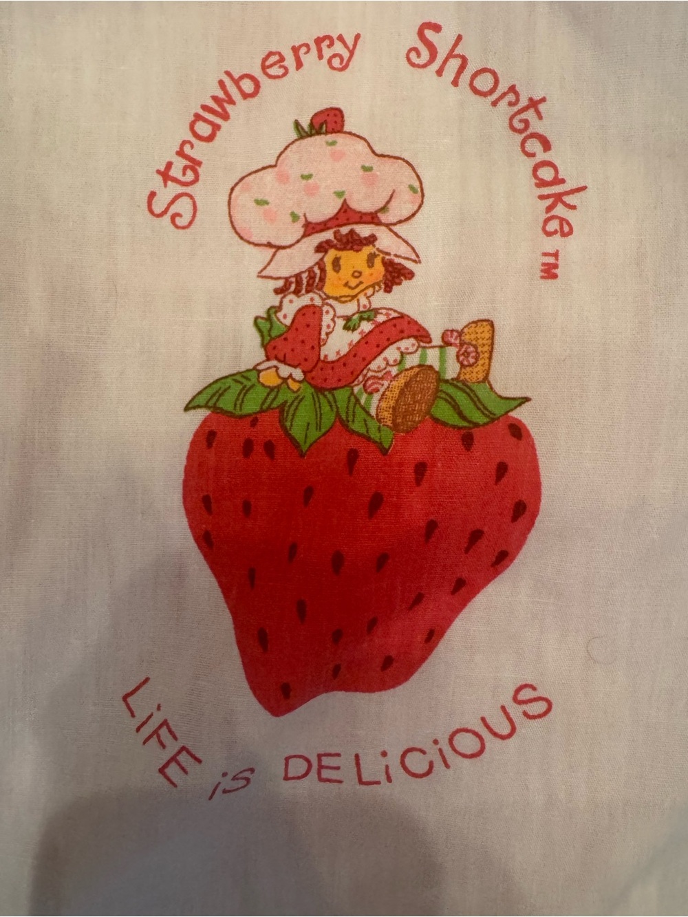 Vintage 1980s Strawberry Shortcake Apron Dress Pink Stripe Seersucker Size 3T